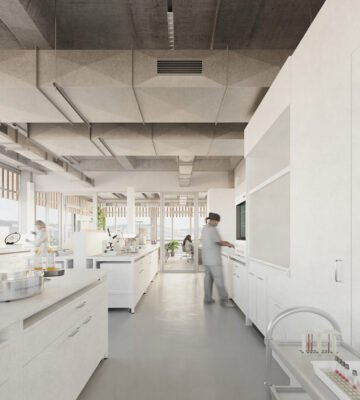 2024 07 29 Geistlich C2 Labor1 C2