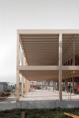 Widen ohne Geruest Topaz Bloom