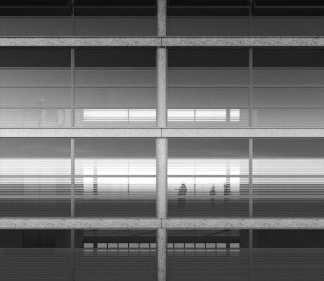 Waldrap enter fassade 1