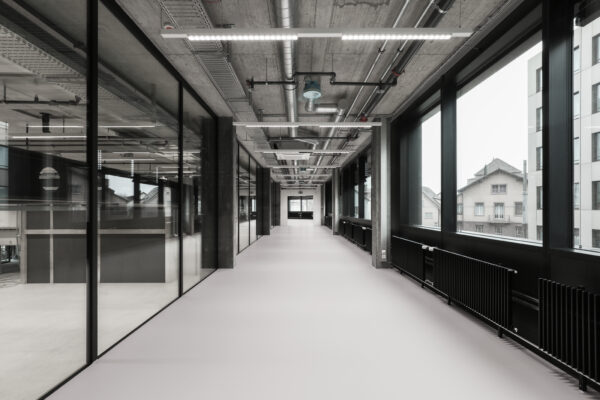 Waldrap galerie